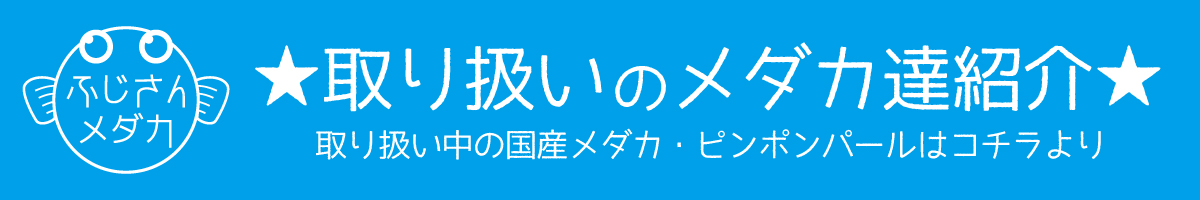 ふじさんメダカ商品