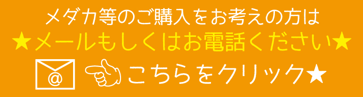 ふじさんメダカメール